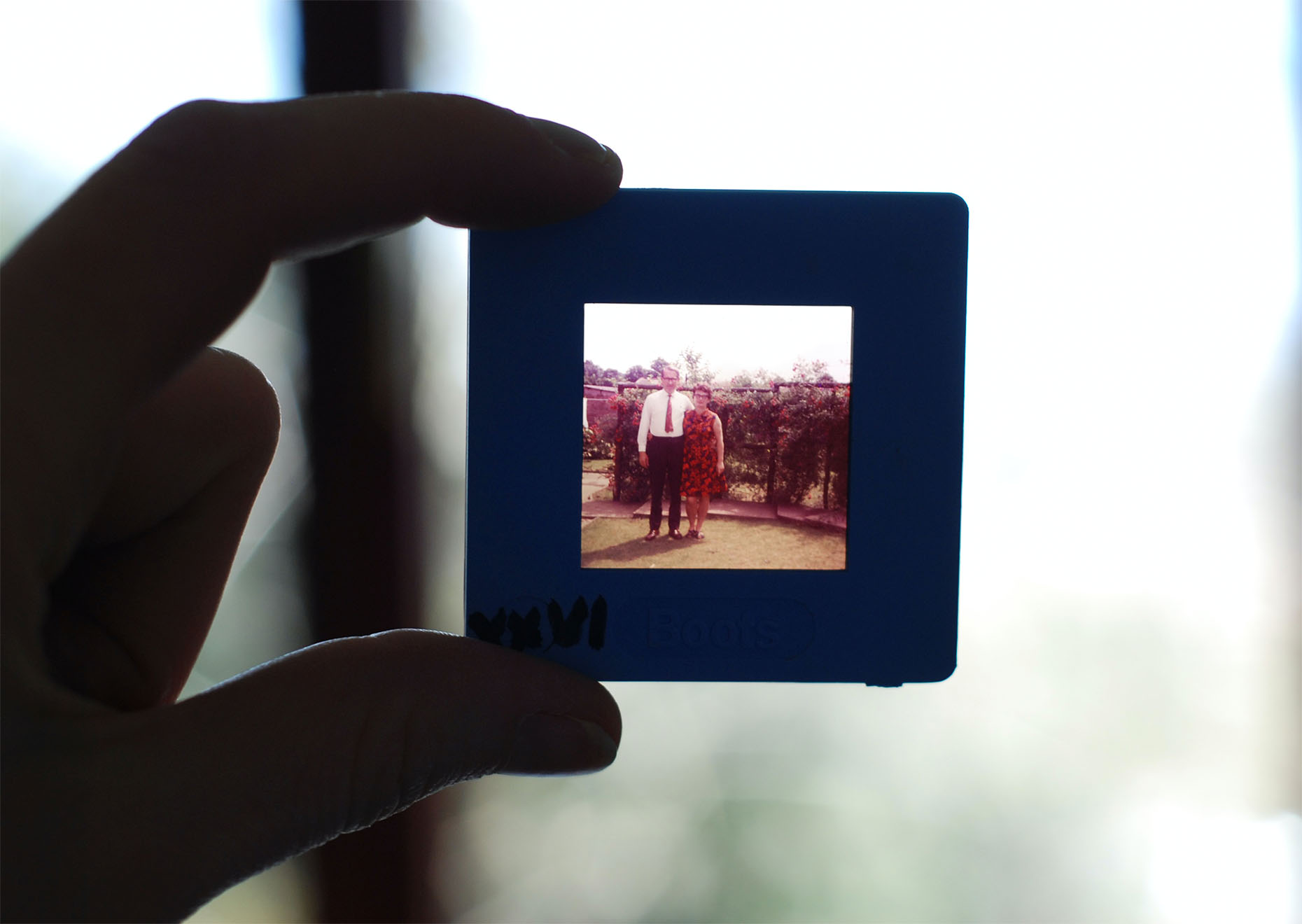 a photo been held up