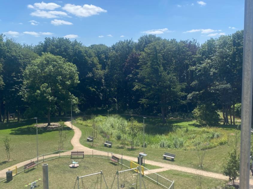 construction being done next to a park