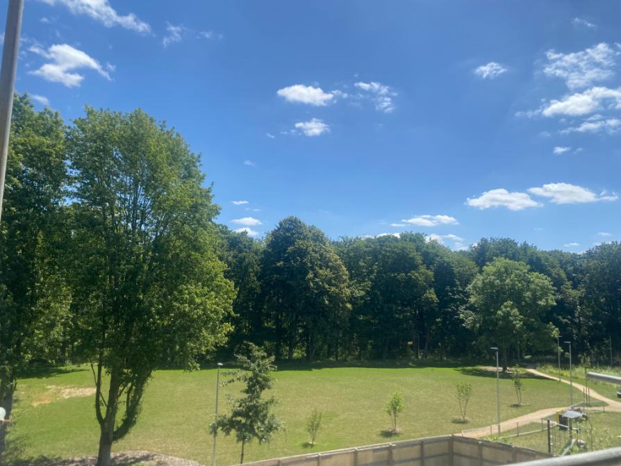park